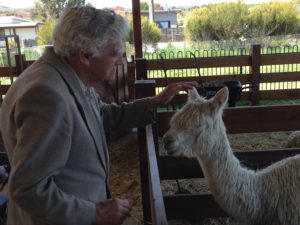 Keith at Creswick Woollen Mill with an alpaca
